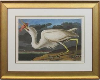 9049 - Great White Heron by John Audubon 31 x 24
