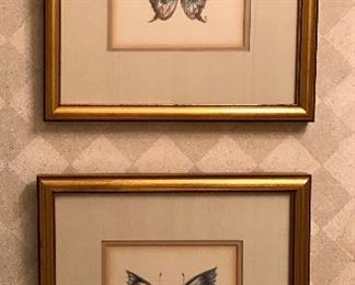 Butterfly Art 