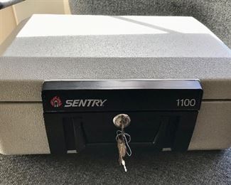 Sentry Lock Box 