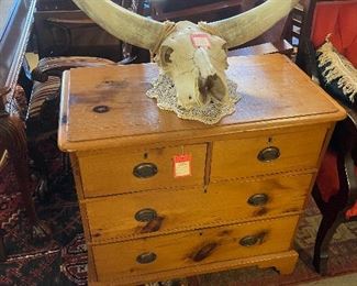 Bull skull and antique pine chest.