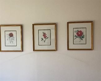 Framed Peony Art; set of three; 9.5" x 12" (art only); with frame 22.5" x 19.5"