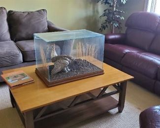 Large Taxidermy Bird in glass case on top of Ethan Allen large wood Coffee table