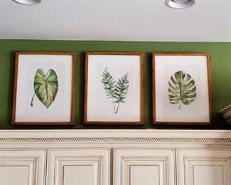 Decorative Framed Leaf Prints