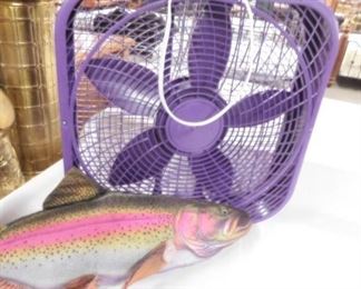 Fish & Fan Collection
