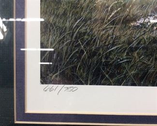 SIGNED TIM BRUCE #661/750, ''ON A CLEAR DAY''