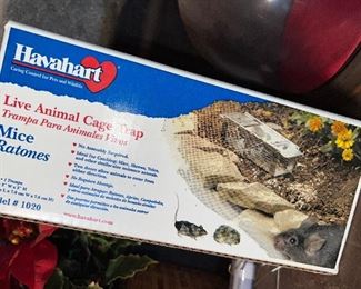 If you catch them, Sweet Pea will love you forever!!