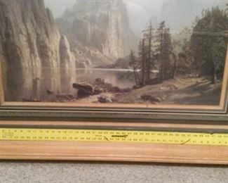 Framed picture of Yosemite National Park.  Very Large.  Can hang in your lobby.