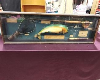 69 FISH DISPLAY