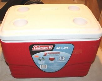 224 - Coleman Cooler - 21 x 12 x 15
