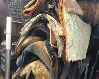 SADDLES