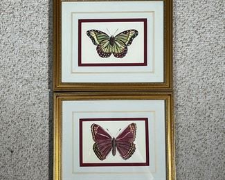 (2pc) Pair Butterfly Prints | In gold-tone frames
Dimensions: w. 11 x h. 9.5 in