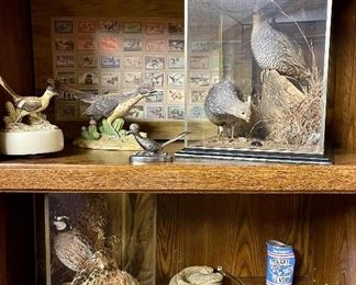 Taxidermy Quail Display, Rattlesnake in Resin Pen Holder, Vintage Duck Decor