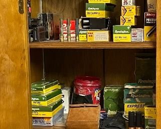 Gun Cleaning Supplies, Ammunition