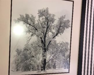 Large Ansel Adams Yosemite reprint 