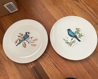 lovely bird plates