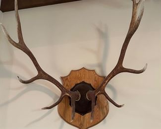 ANTLERS