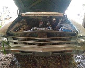 "Spring Fling on Flowing Wells" in Martinez, GA Starts Closing Fri 3/24 8pm. Pickup: Mon 3/27 3-6pm. Please click here to see more photos, descriptions, and current bids:&nbsp;https://ctbids.com/estate-sale/20475