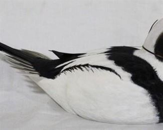 27 - Old Squaw Drake painted & carved duck McDowell's 1983 personal collection, originally not for sale 16 x 7
