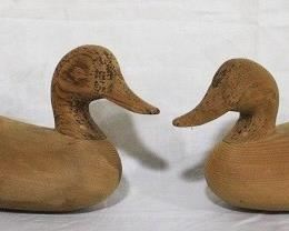 64 - Lot of 2 wood duck blanks - 17 x 8
