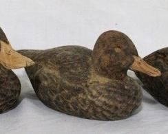 65 - Lot of 3 wood ducks - 9.5 x 4
