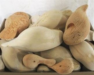 181 - Group wood duck heads & bodies
