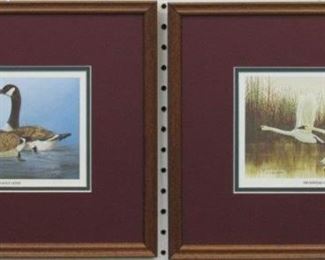 9001 - SET OF 2 TRUMPETER SWAN/ CANADIAN GEESE LIMITED ED 14.5 X 12.5
