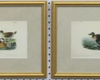 9004 - SET OF 2 ANTIQUE DUCKS BY JOHN AUDUBON 16.5 X 12
