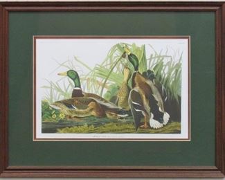9005 - MALLARD DUCK BY JOHN AUDUBON 22 X 17
