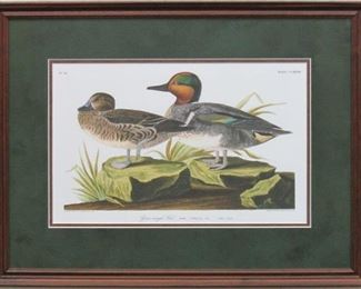 9012 - GREEN WINGED TEAL BY JOHN AUDUBON 22.5 X 17
