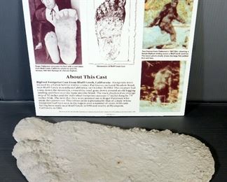 Big Foot Footprint Cast From Bluff Creek, California