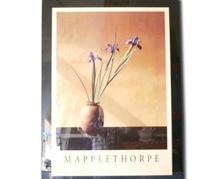 Extra Large Mapplethorpe Framed Photograph
