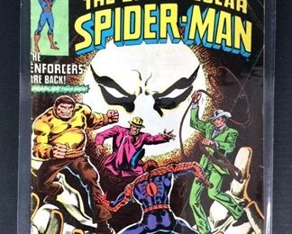 Marvel: Peter Parker, The Spectacular Spider-Man, No. 19