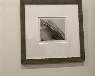 Wings poised for flight by L. Aviva Diamond