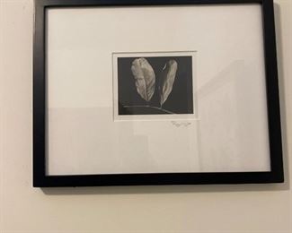 Leaves by Ryuiije - photograph