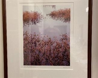 Encounter of the Rivergrass