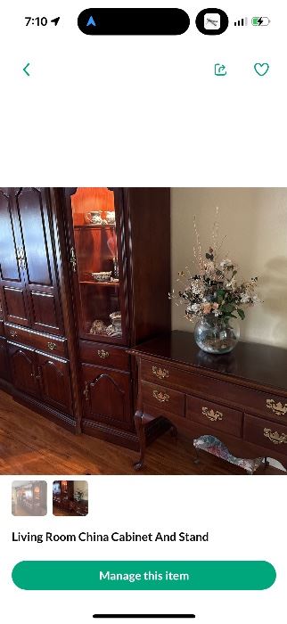 Living room cabinet 