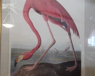 American Flamingo Old Male.  Engraved, Printed and Coloured by Rob Havell 1838. 4th Edition limited to 500 sets.