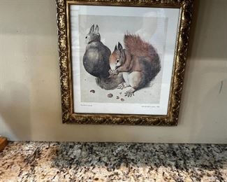 STILL AVAILABLE HALF PRICE