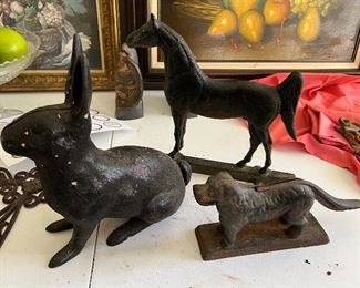 RABBIT & DOG AVAILABLE