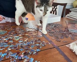 Darcy has discovered puzzles. 
