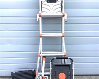 BMMO208 Little Giant Ladder