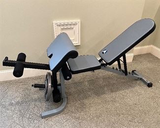 Strength Trainer M-FIDL incline/decline bench with leg and preacher curl