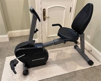 Schwinn recumbent bike