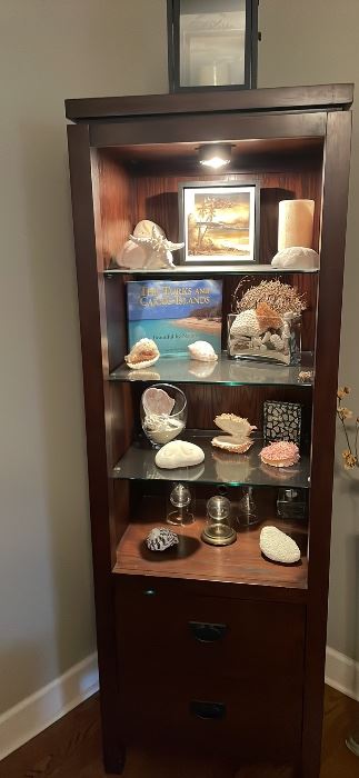 Lighted glass shelf cabinet with two drawers. 