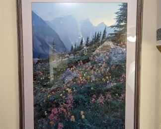Framed Print