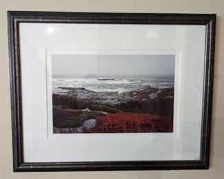 Framed Print
