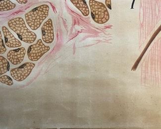 Vintage Cell Tissue  poster wall hanging 