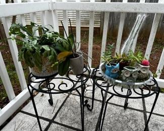 Plant Stands with Established Plants