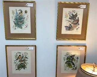GREAT COLLECTION OF BIRD PRINTS