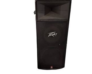 Peavy Model TLS 4 Stage Speaker